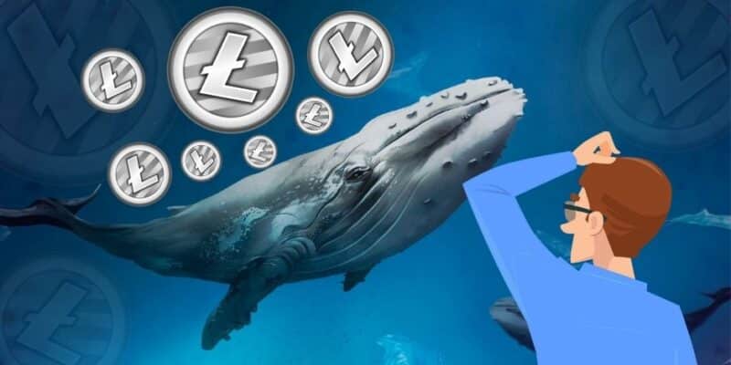 Crypto Intelligence Firm Santiment Says LTC Amasses Longest Accumulation Streak Since 2017