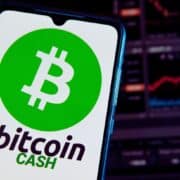 Is Bitcoin Cash still a viable crypto in 2024