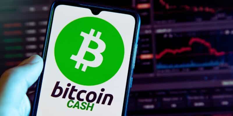 Is Bitcoin Cash still a viable crypto in 2024