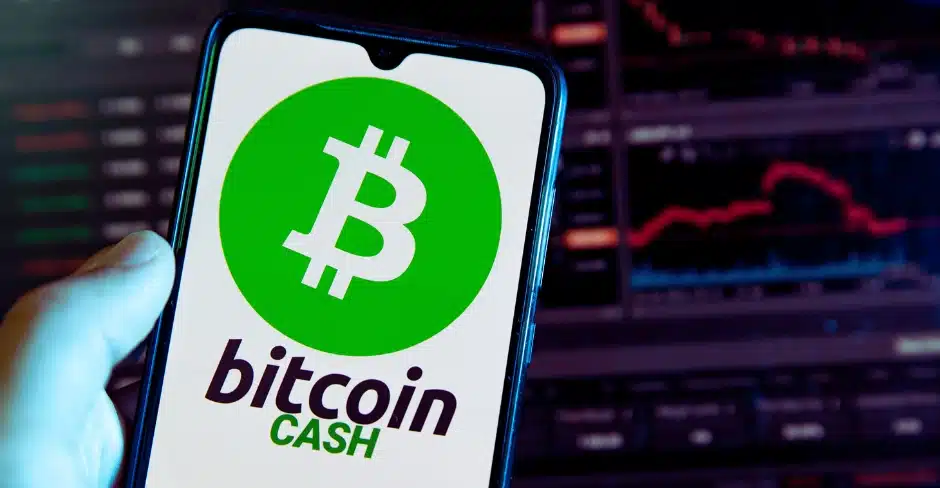 Is Bitcoin Cash still a viable crypto in 2024
